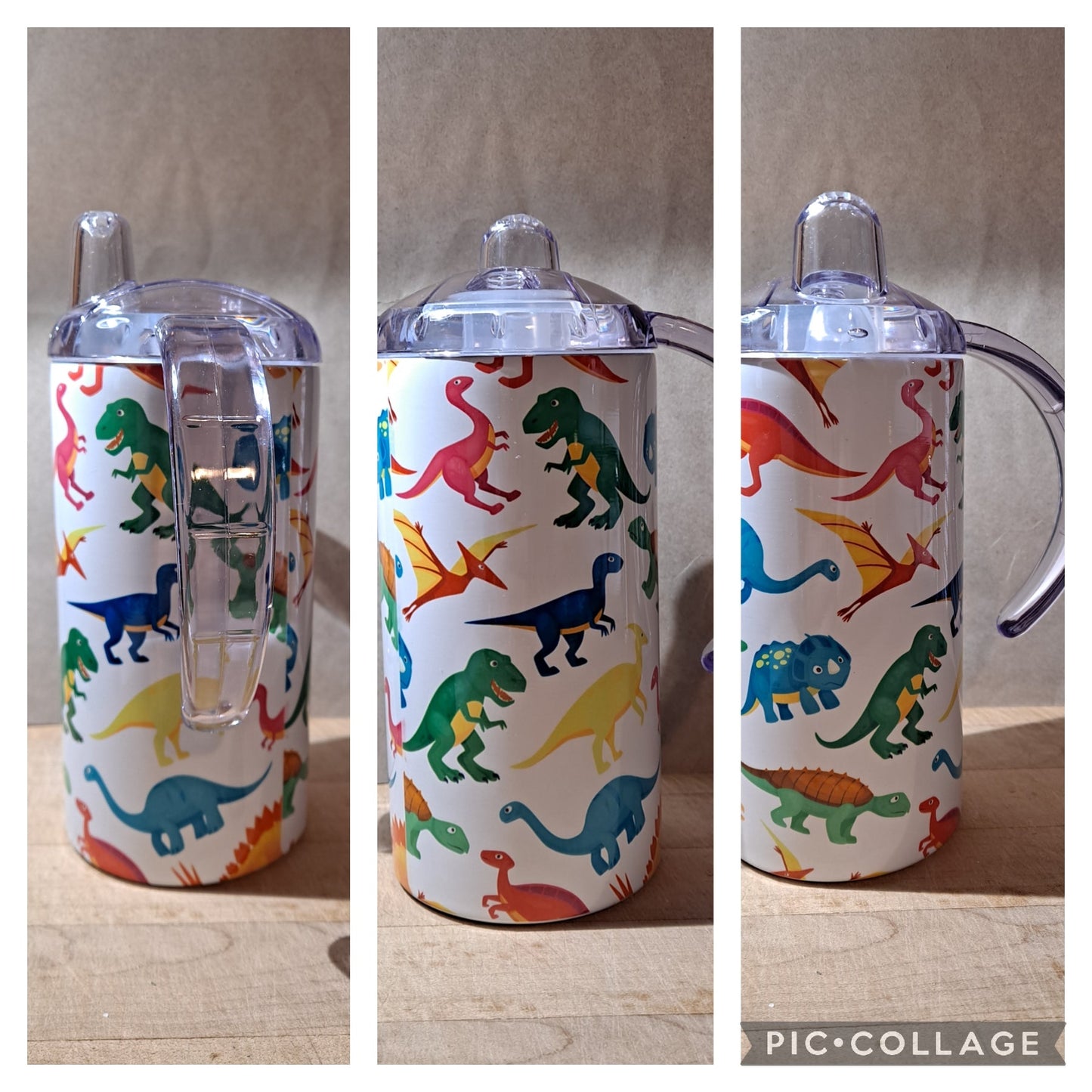 Dinosaurs