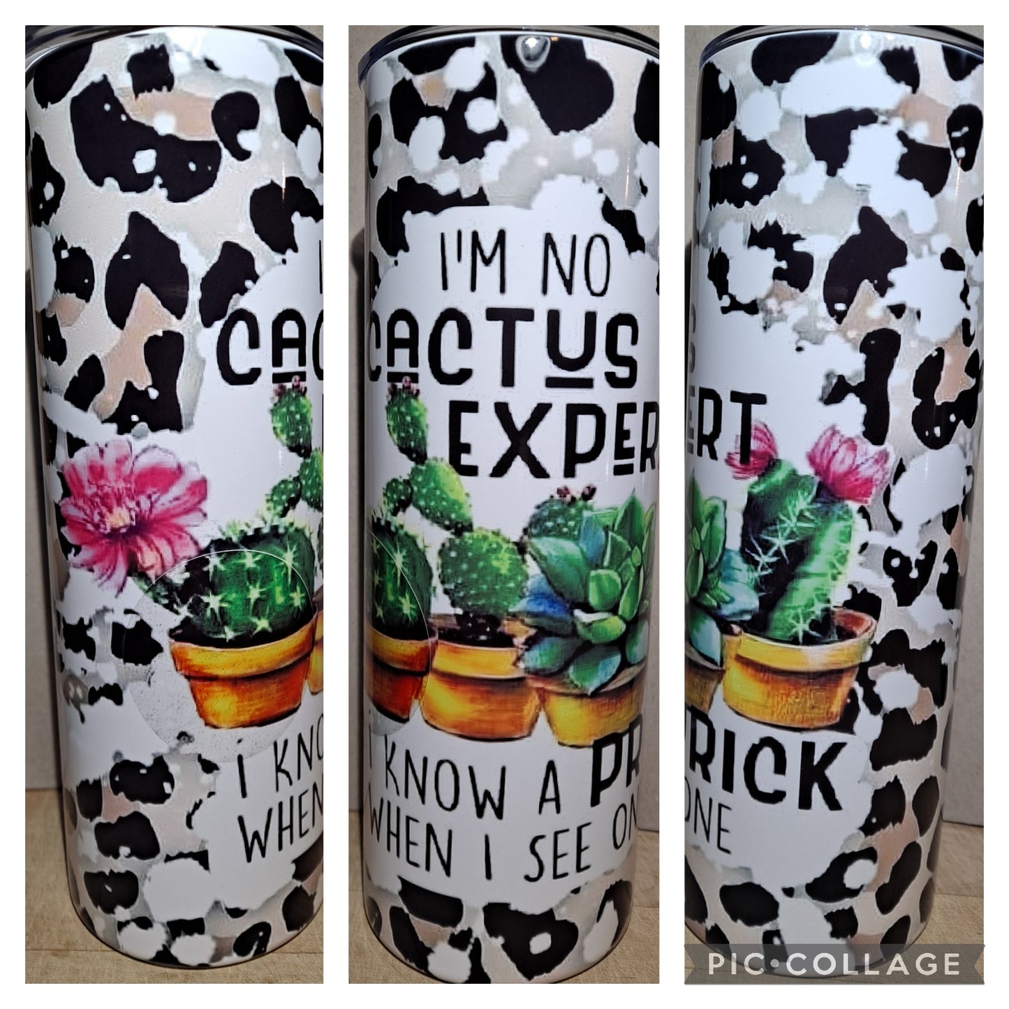 I'm no cactus expert but I know a prick when I see one