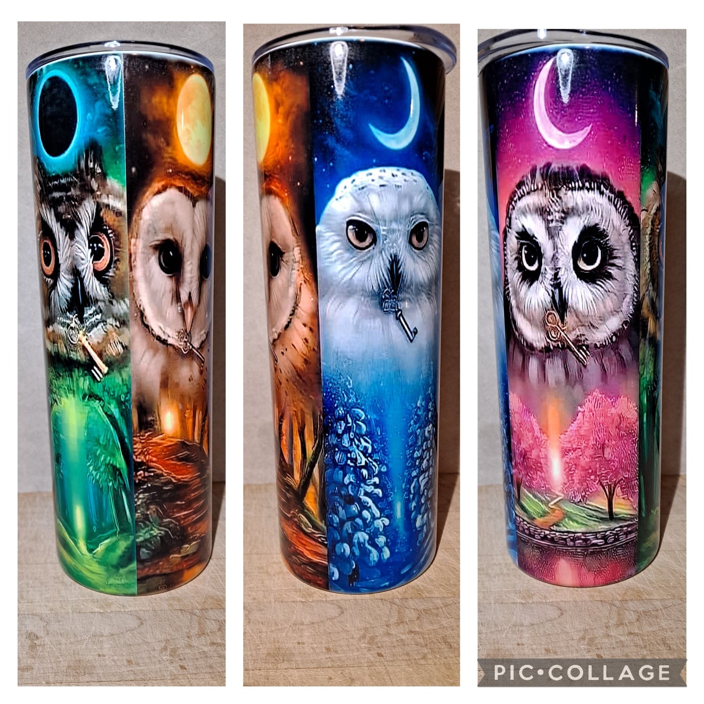 Owls